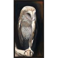 A Light in Dark Places (Barn Owl)